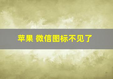 苹果 微信图标不见了